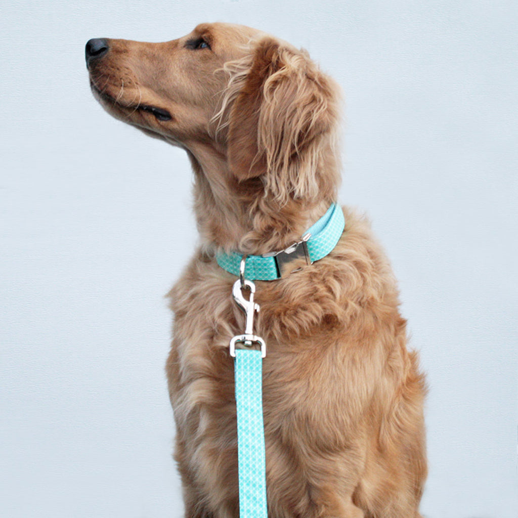 tiffany dog leash