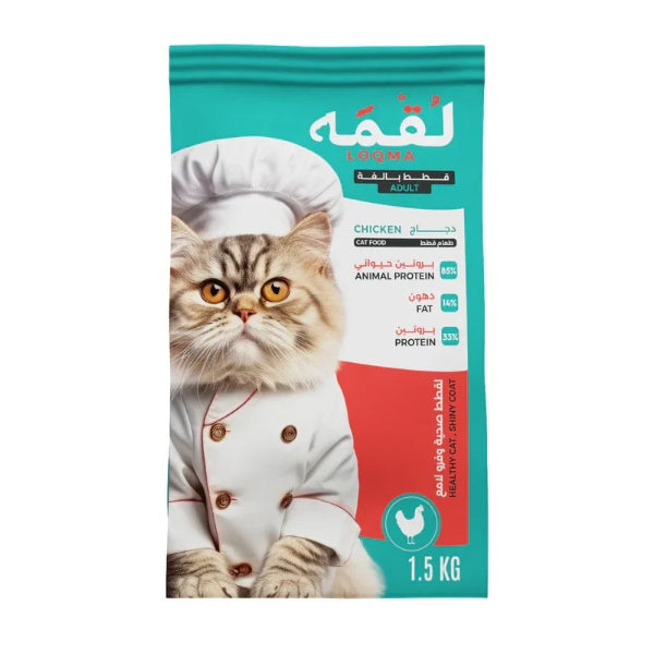 طعام القطط الصغيرة