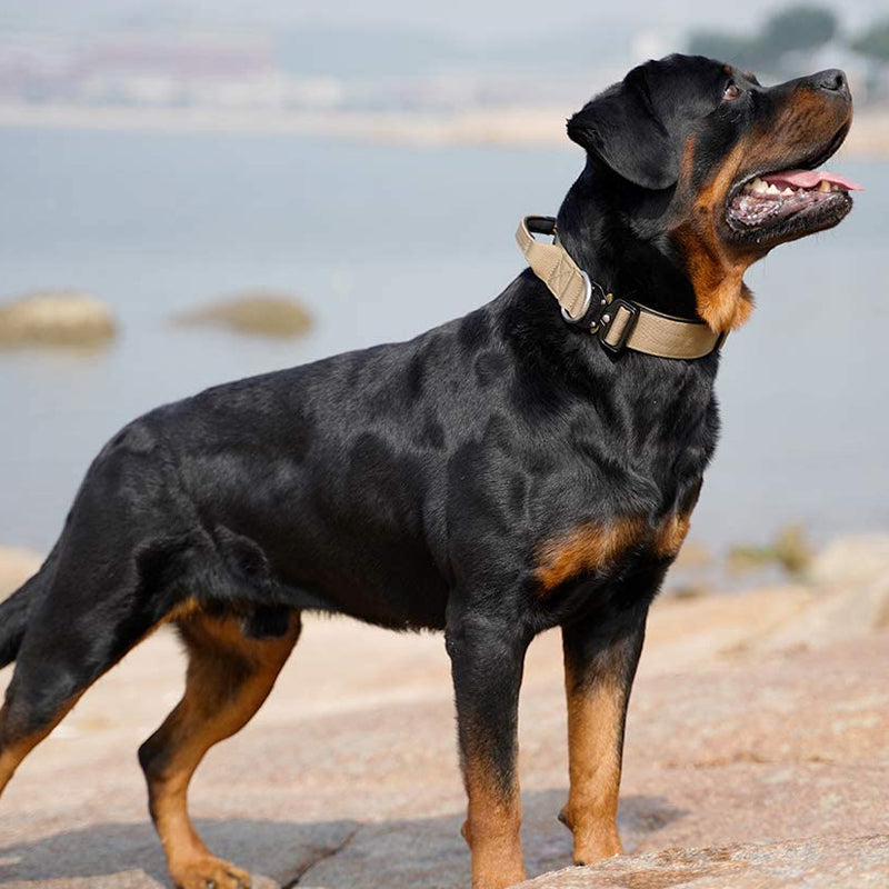 Product Image for Avelena | Taktischer Hundehalsband mit Griff Powergrip, Grün / M