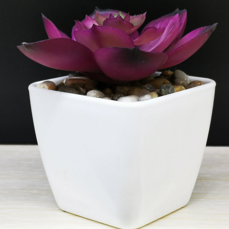 Product Image for Avelena | Künstliche Sukkulente Kunststoffpflanze Mini Topfpflanze Schreibtischdekoration, Stil 8