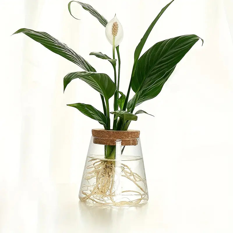 Product Image for Avelena | Alberic Ökologisch Glas Pflanzenformer, Klares Glas