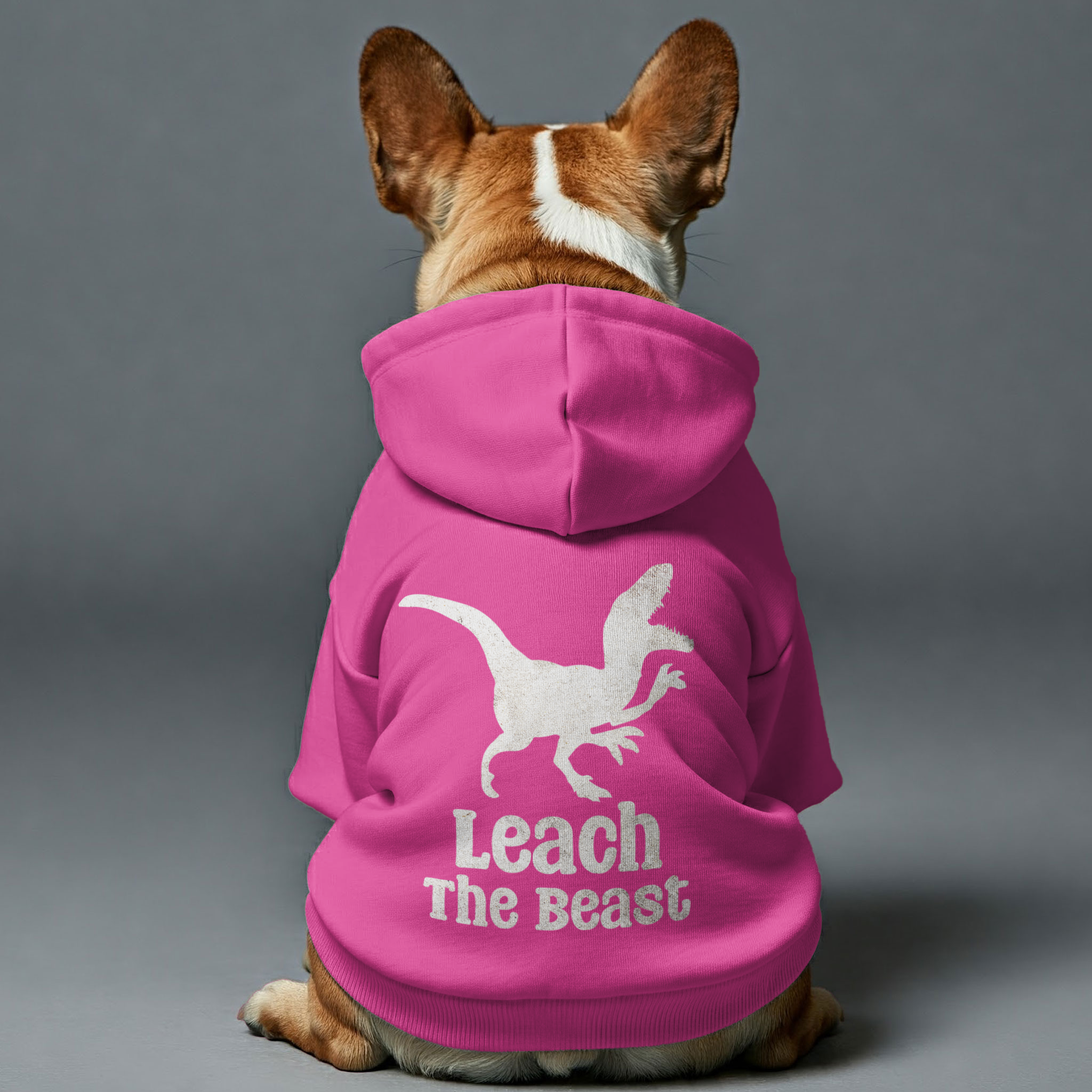 Product Image for Avelena | Leach The Beast - Personalisierte Französische Bulldogge Hoodies Mit Lustigen Sprüchen – Stilvoll, Gemütlich Und Premium 100% Baumwolle, 
