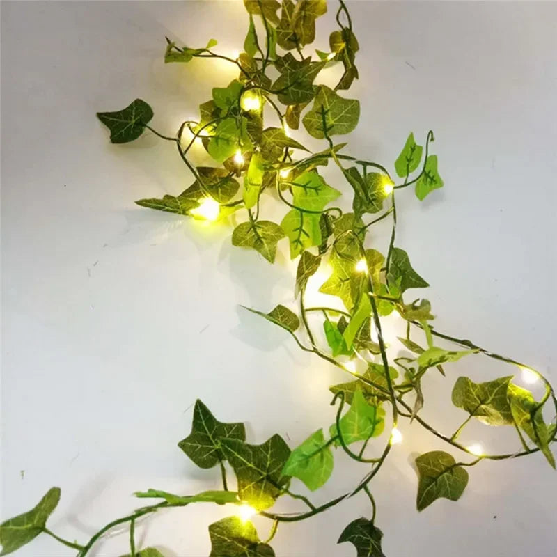 Product Image for Avelena | Greenglow Lichterkette für Eine Stimmungsvoll Natürliche Beleuchtung, Grüne Dill / 500cm 50LEDs