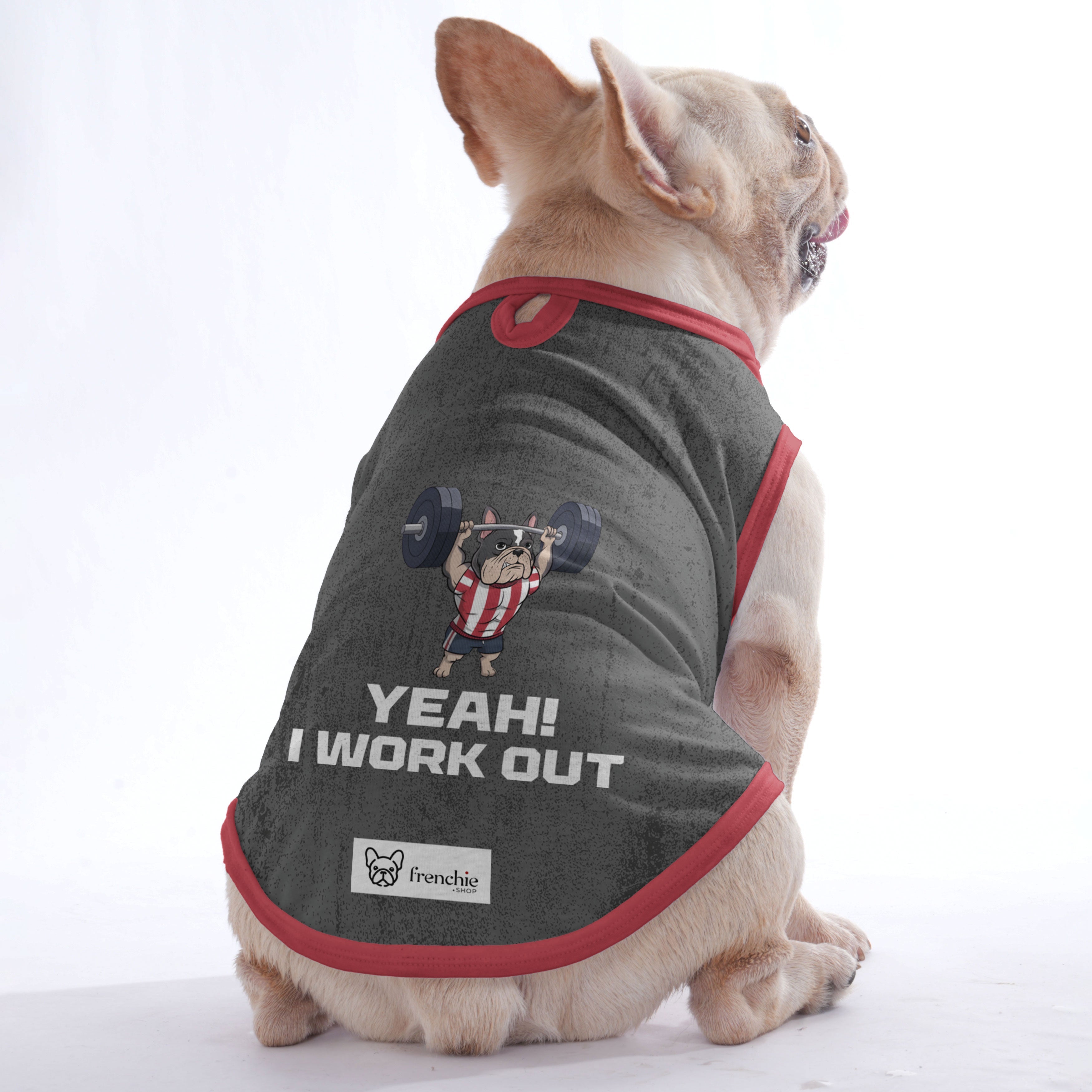 Product Image for Avelena | Jacqueline Shirt Für Frenchies Avelena Original, S