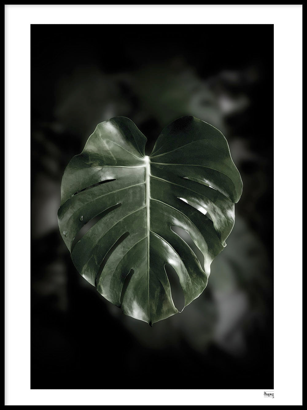 Product Image for Avelena | Singapur - Verlass Mich Nicht, 50x70 cm