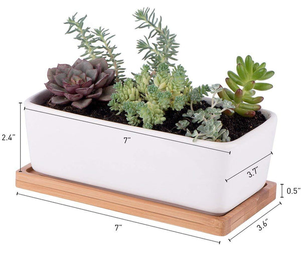 Small White Ceramic Succulent Planter Pot (Rectangle) with Bamboo Base