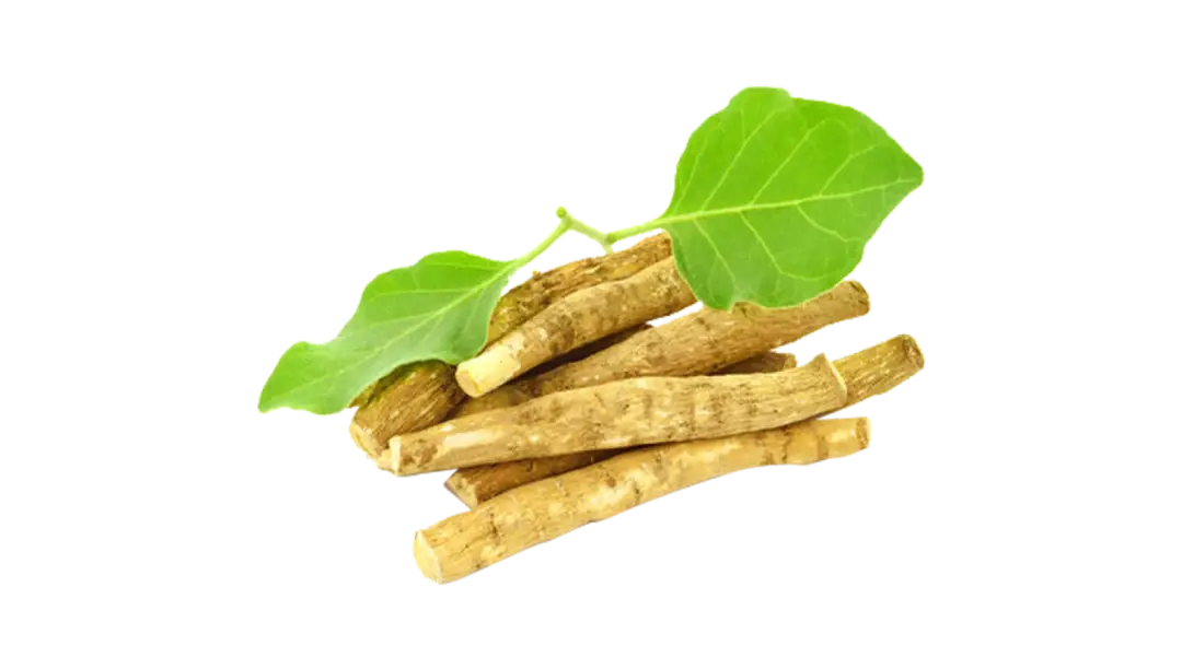 ASHWAGANDHA.webp__PID:1ad9ff9b-eca1-457d-951e-2c3b70645292