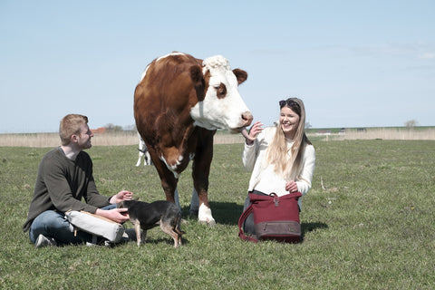 Tierschutz auf Hof Butenland