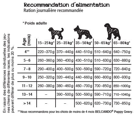 Recommandation d'alimentation Belcando Junior GF Poultry