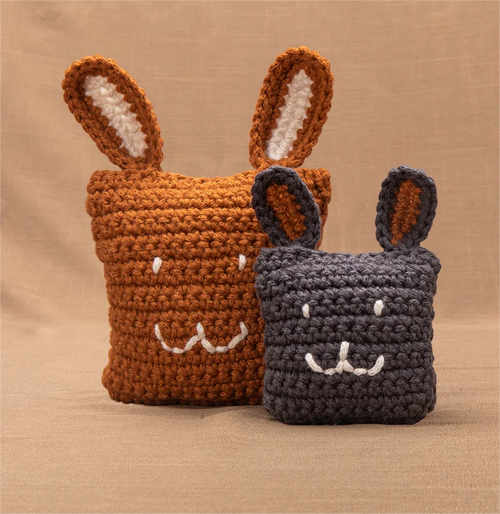 bunnypillow_cover(1).png__PID:99ca2381-ab12-4424-809b-cf83eee84101
