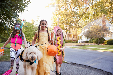 Halloween: Dog Safety Tips and Best Pet Costumes - Shaggy Chic