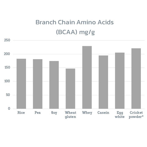 bar chart of BCAAs in various types of protein