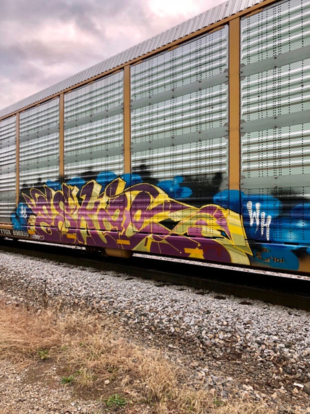 Eskae freight train graffiti art street art culture artist interview mtn94 spray paint vandal graff