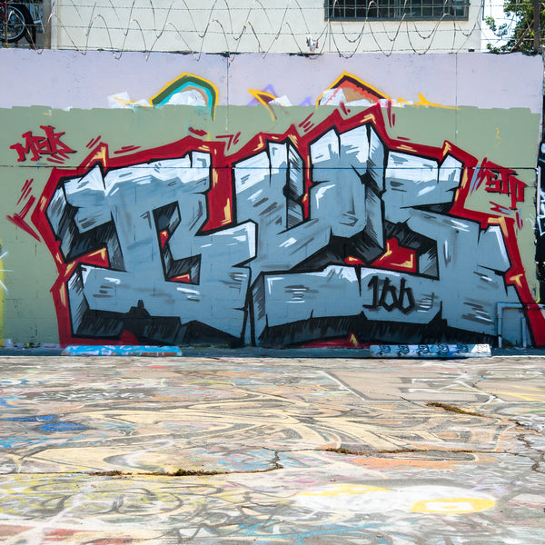 Bus166 msk graffiti street artist murals spray paint culture interview infamy art ironlak mtn94