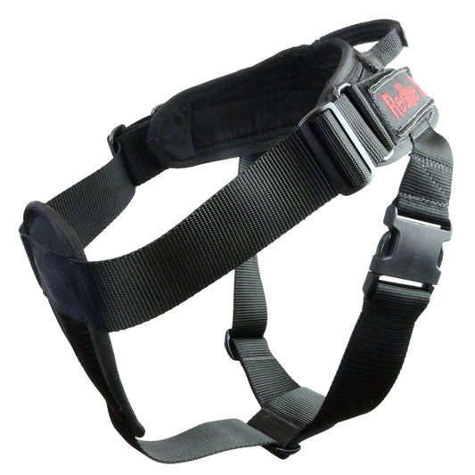 Yurkiw Harness With Cobra Buckle