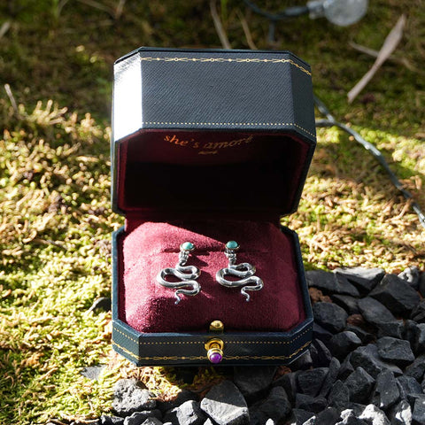 jewelry box and earrings