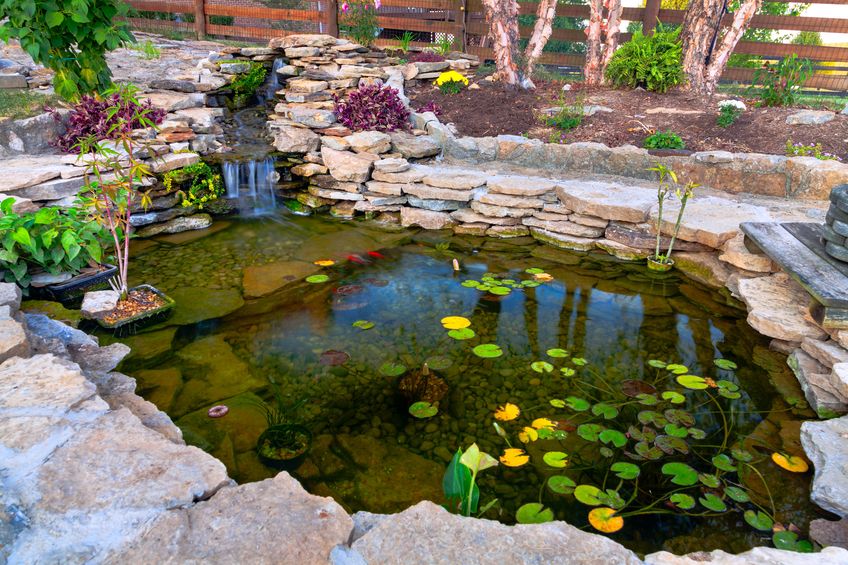 Water Changes In Your Koi Pond Koi To The World