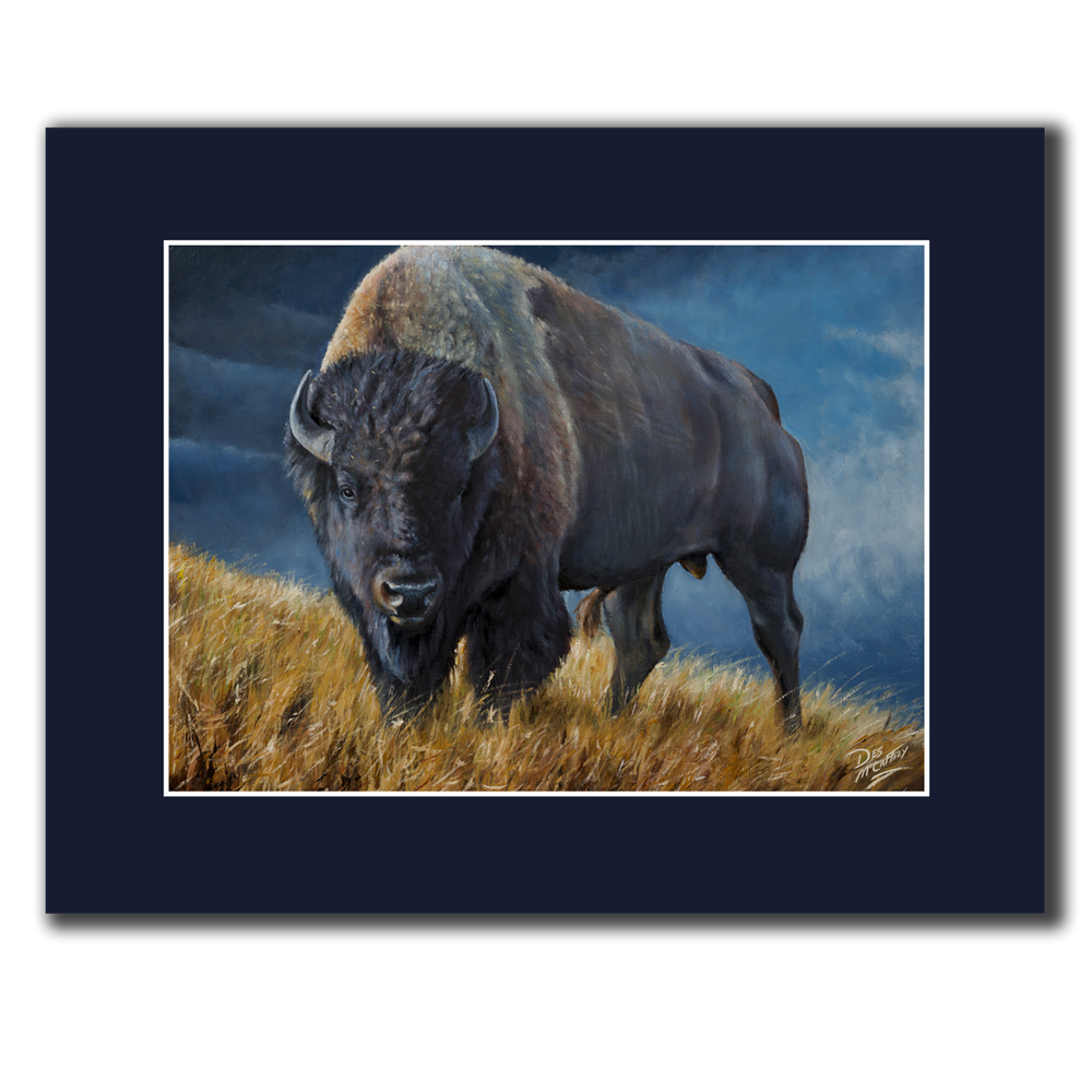 BISON