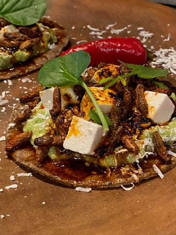 close up of the cricket tostada