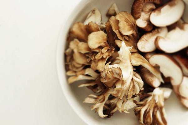 maitake mushroom benefits for skin