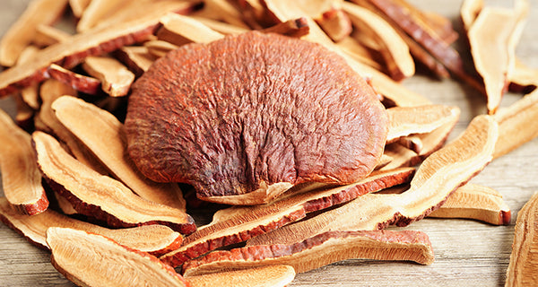 reishi mushroom dosage for sleep