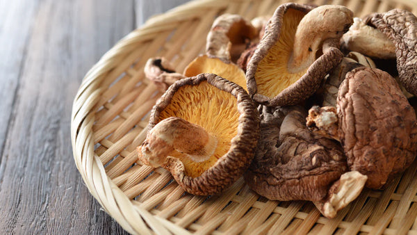 shiitake mushroom benefits for hair
