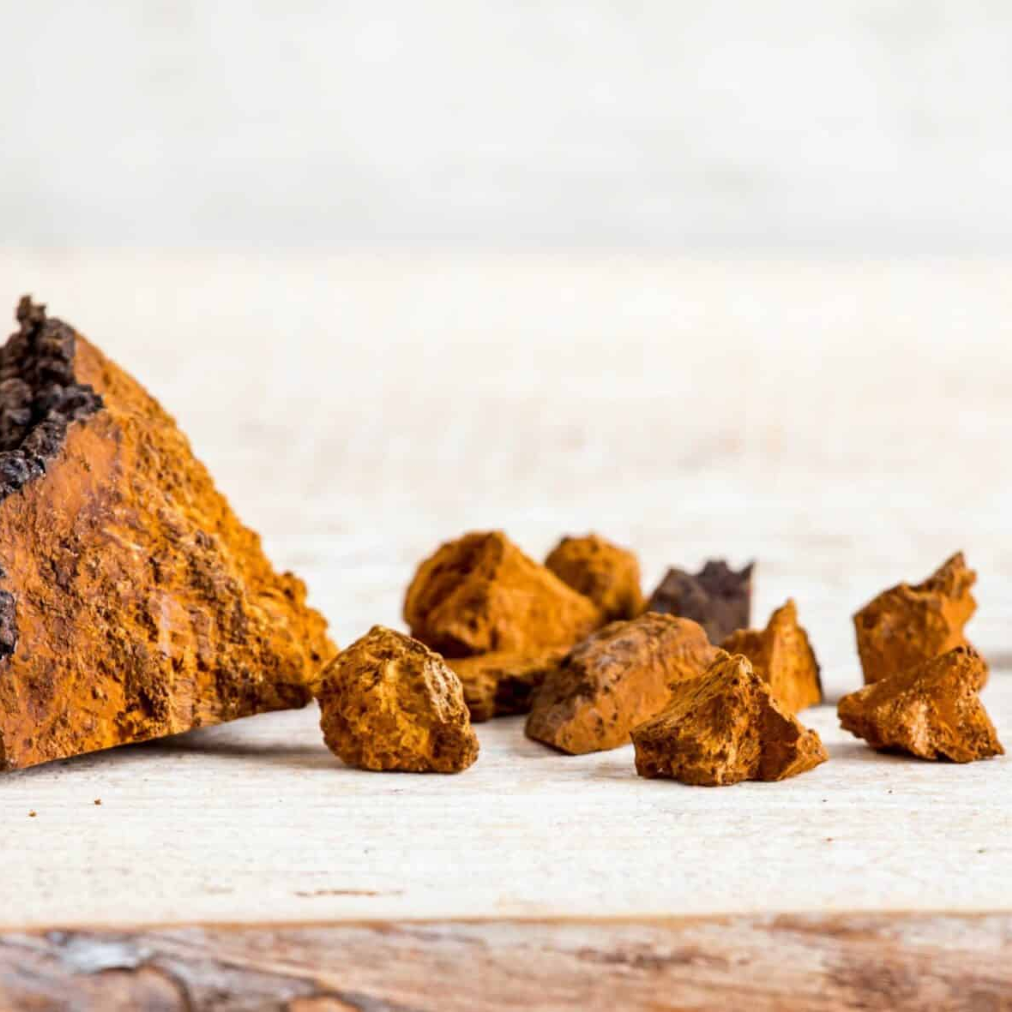 Chaga mushrooms in various chunk sizes on a light wooden surface.