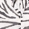 Chemise Tigrette 4