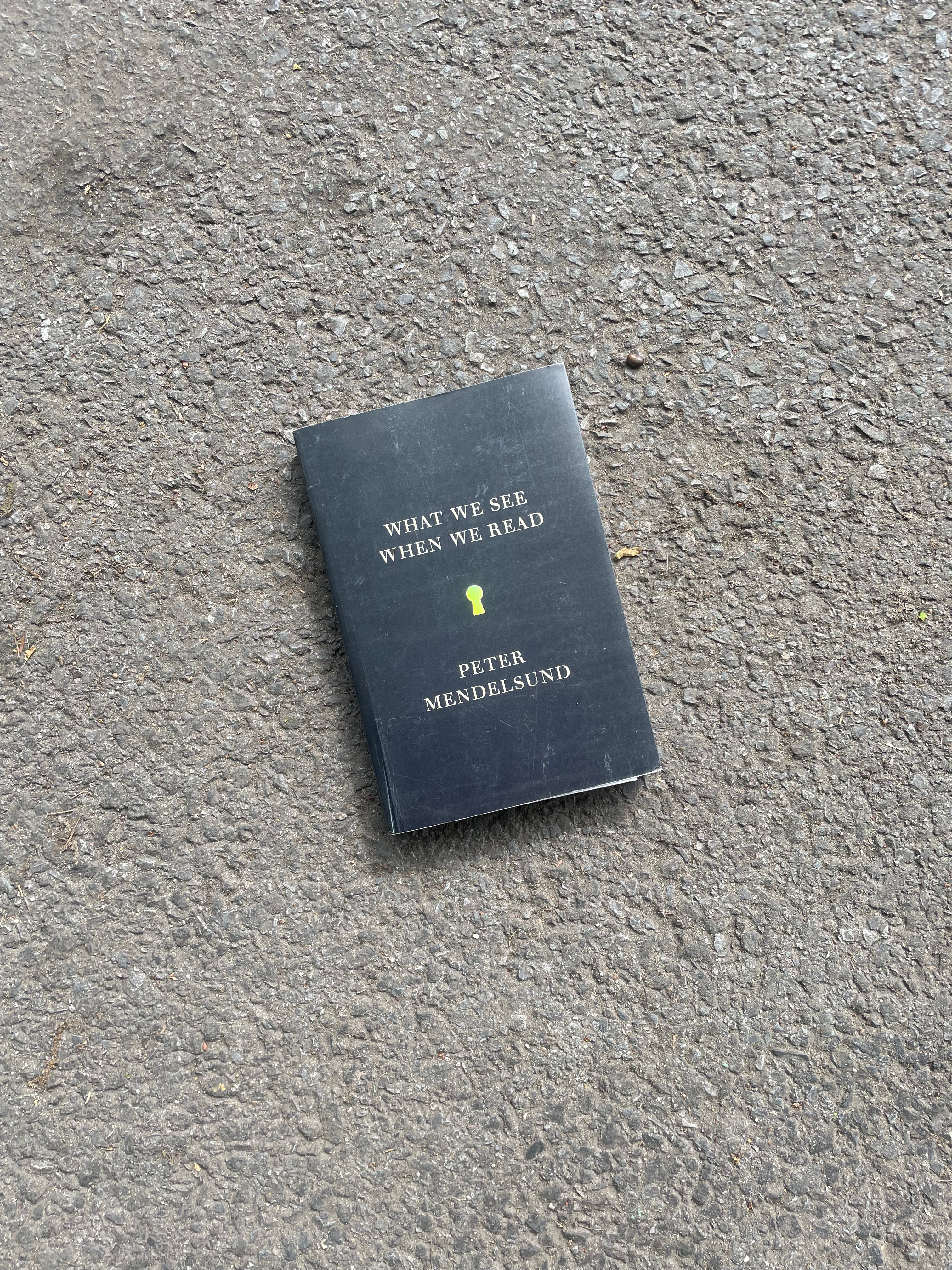 What we see when we read by Peter Mendelsund