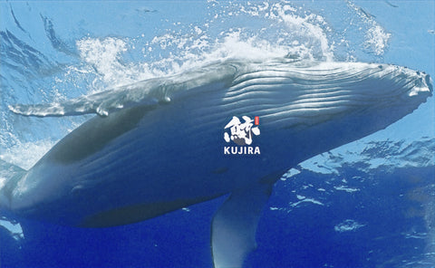 Kujira Whisky Whale