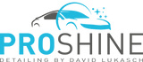 Proshine by David Lukasch Logo