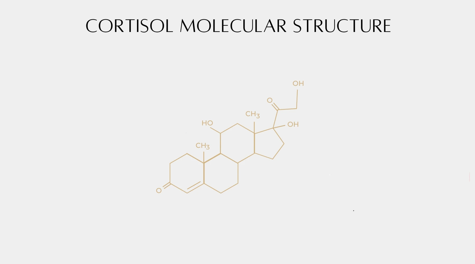 Exclusive molecular structure of cortisol hormone created by Intentionally Natural, showcasing its chemical composition and role in stress response.