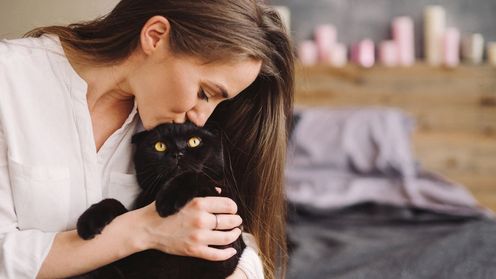 Halloween Safety Tips for Black Cats