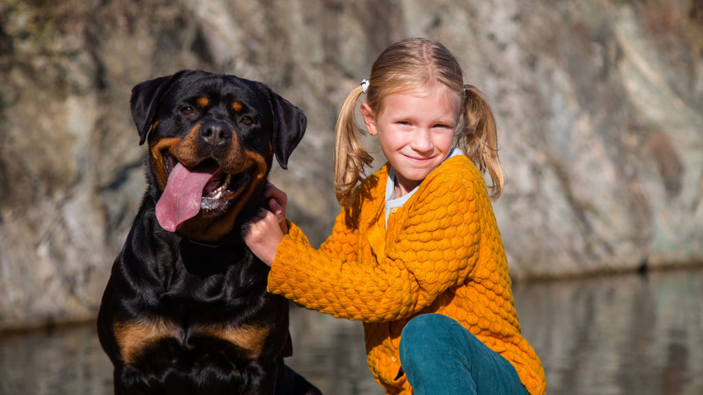 are rottweilers good with kids