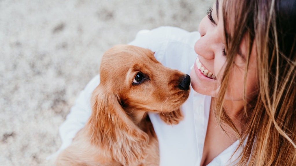 puppy soft chews