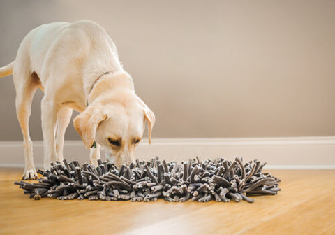HOPET Snuffle Mat for Dogs Large Breed, Interactive Puzzle Dog Food Mat,  Easy