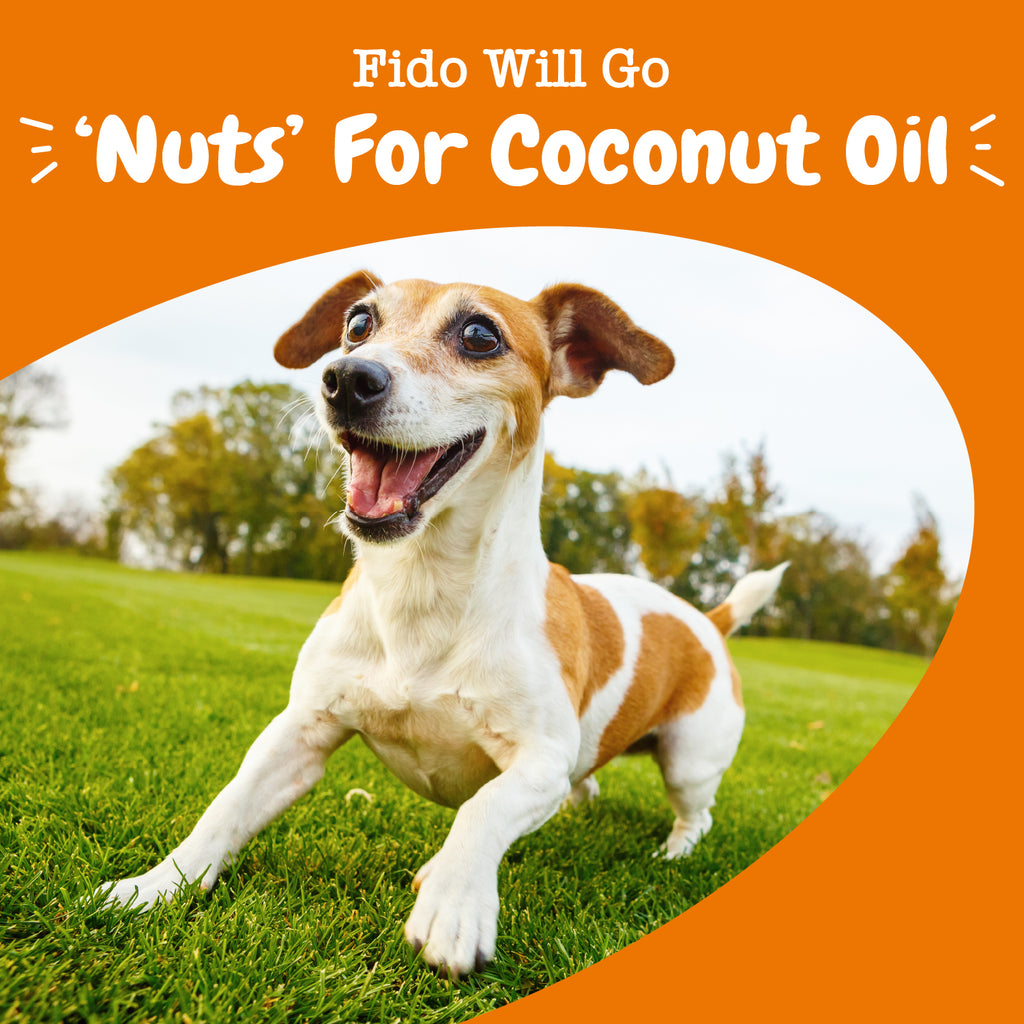 can you use coconut oil on dog paws