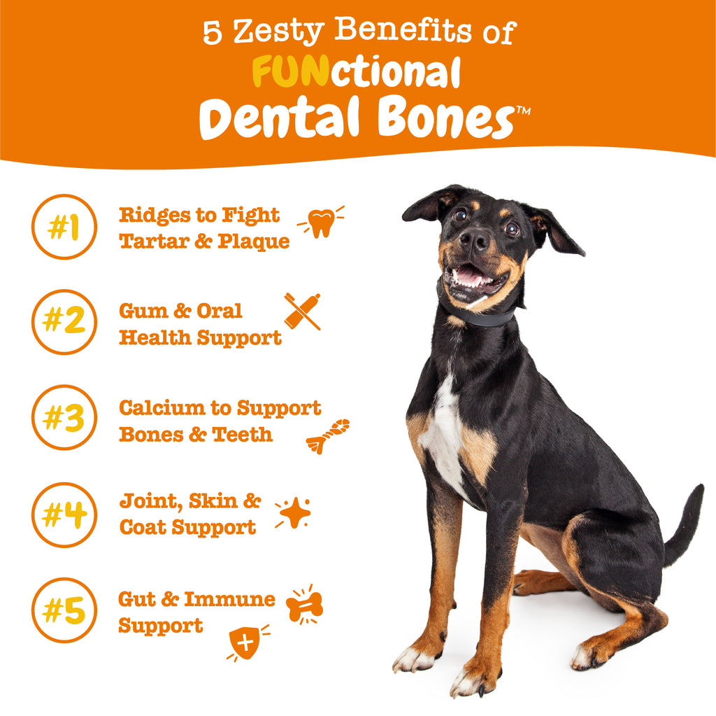 are bones easily digested by a miniature pinscher