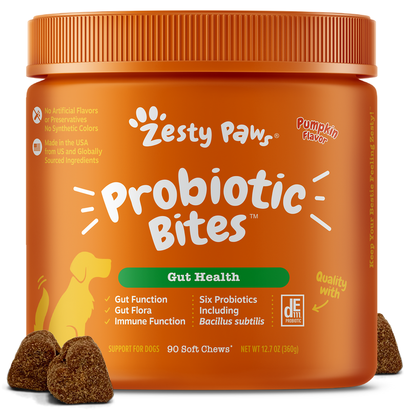 are probiotics good dogs