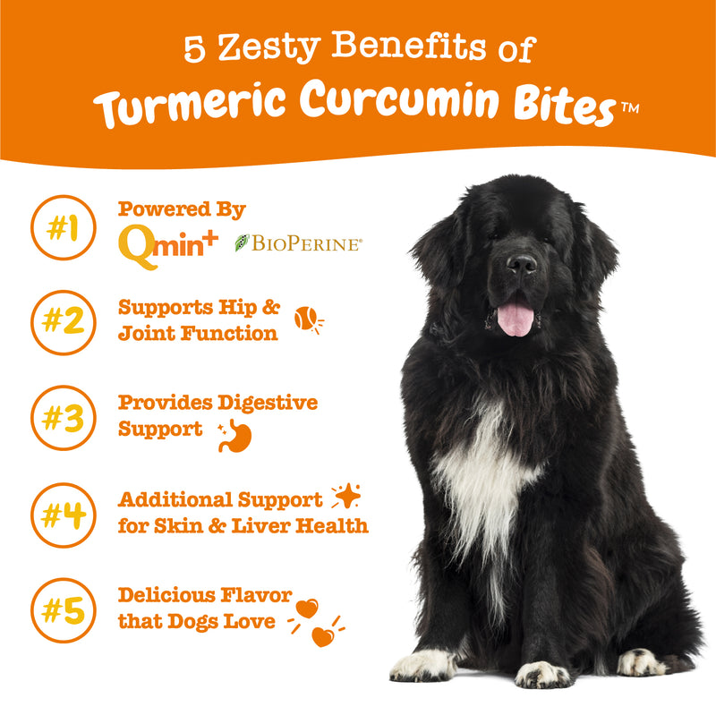 can tumeric help cats and dogs