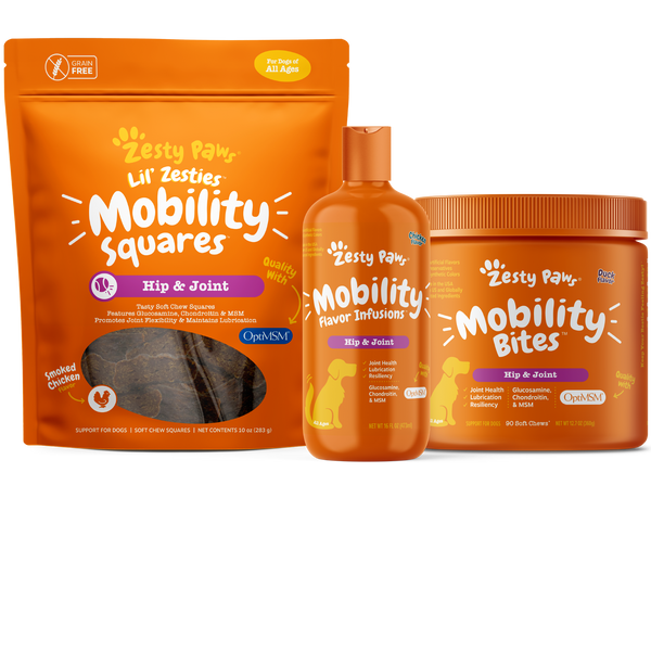 Zesty Paws Mobility Broth Booster Hip & Joint Supplement For Dogs Chicken  Bone Broth Flavor