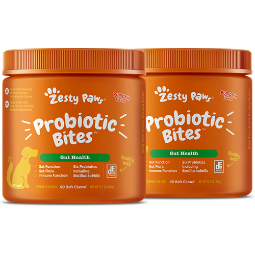 zesty probiotic bites