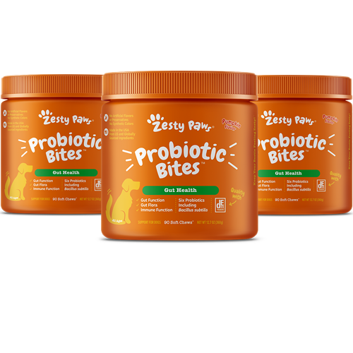 zesty probiotic bites