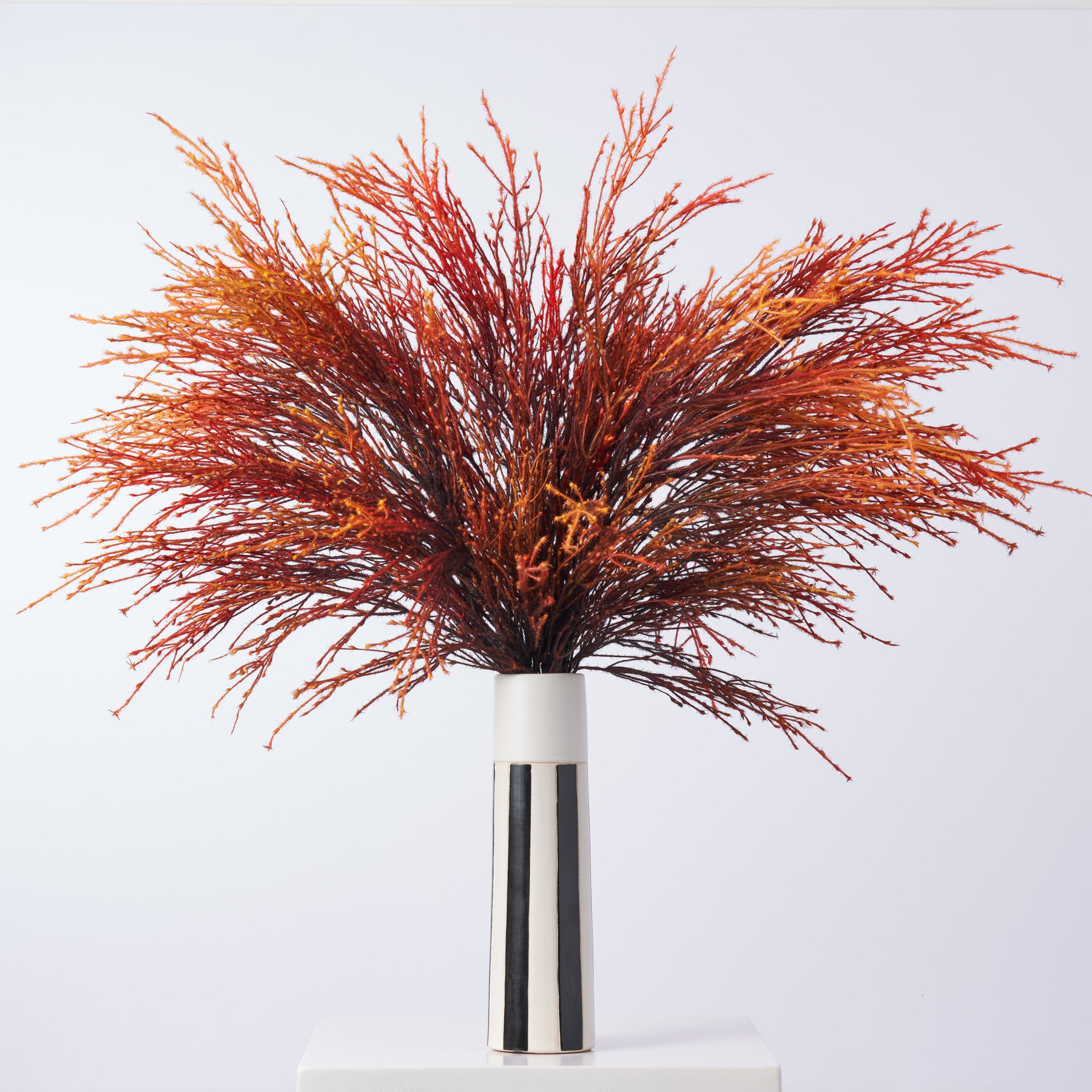 Bleached Pampas Grass Arrangement in Glass Bud Vase with Antiqued Gold –  Darby Creek Trading