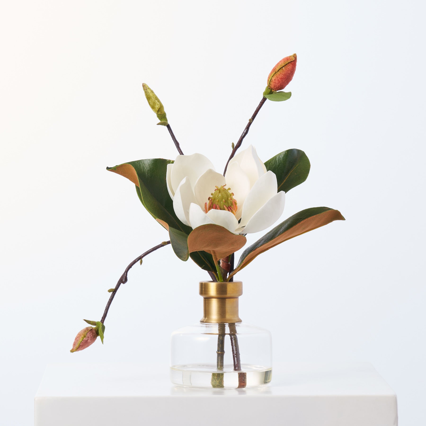 Stella Flower Vase, Medium ECL10351 - Phillips Trading