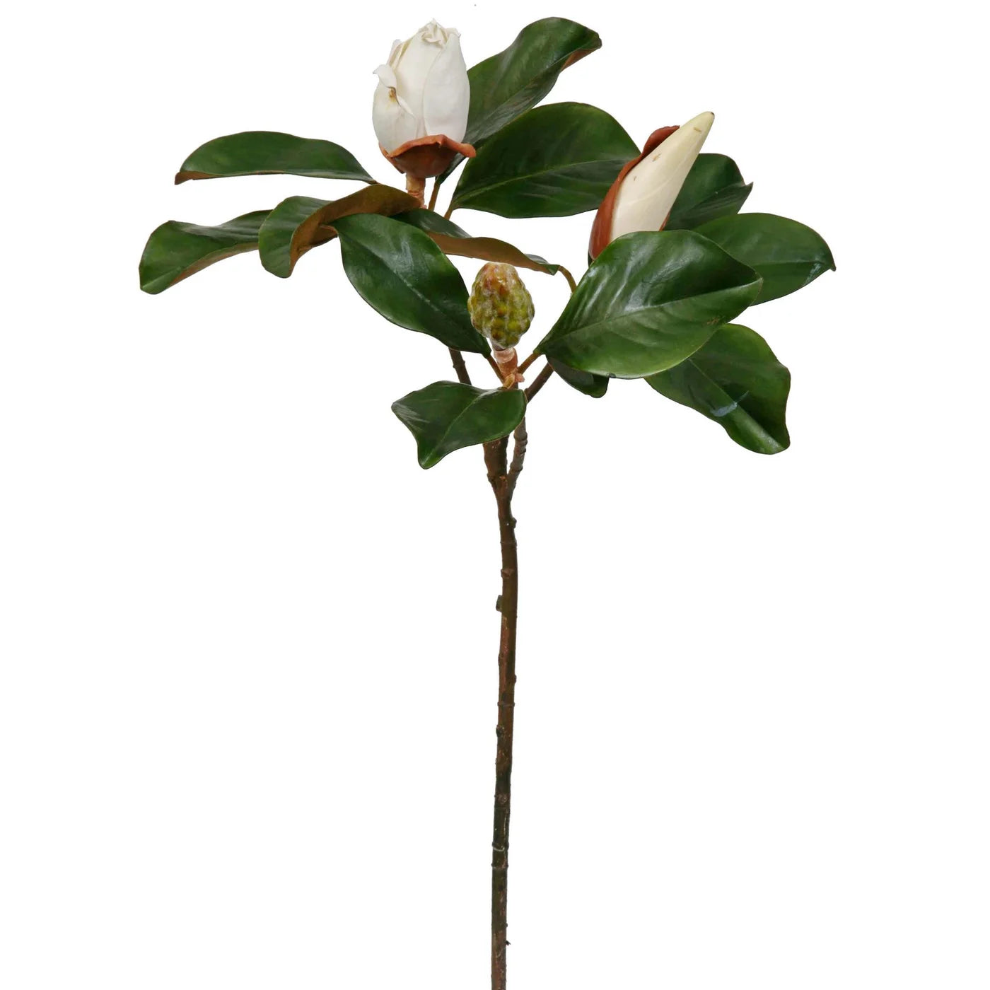 Real Touch Large Magnolia Bloom 29 Single Stem or Bundle of 3