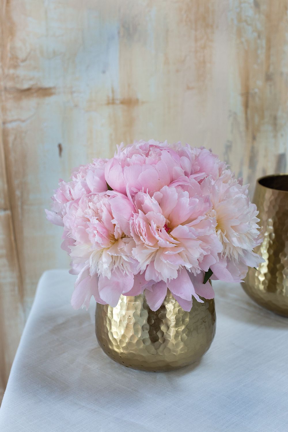 The Perfect Peony Real Touch Forever Flower 22 Stem - Blush – Darby Creek  Trading