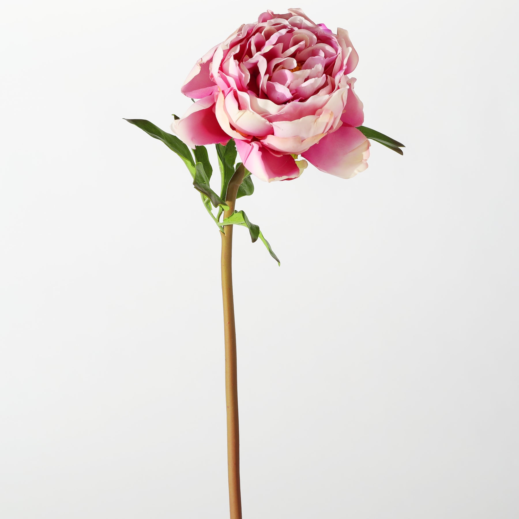 The Perfect Peony Real Touch Forever Flower 22 Stem - Blush – Darby Creek  Trading