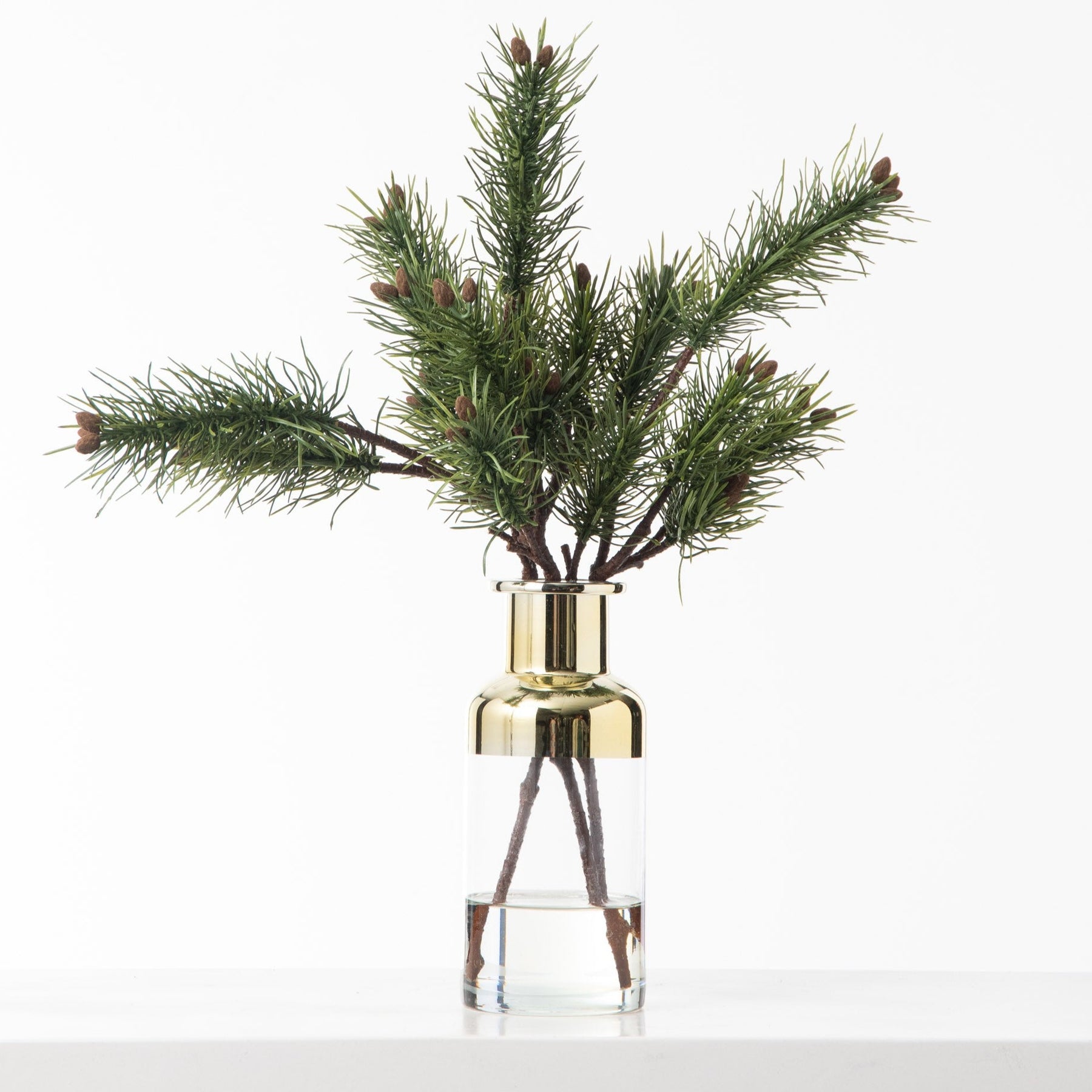 Norfolk pine stems for vase｜TikTok Search