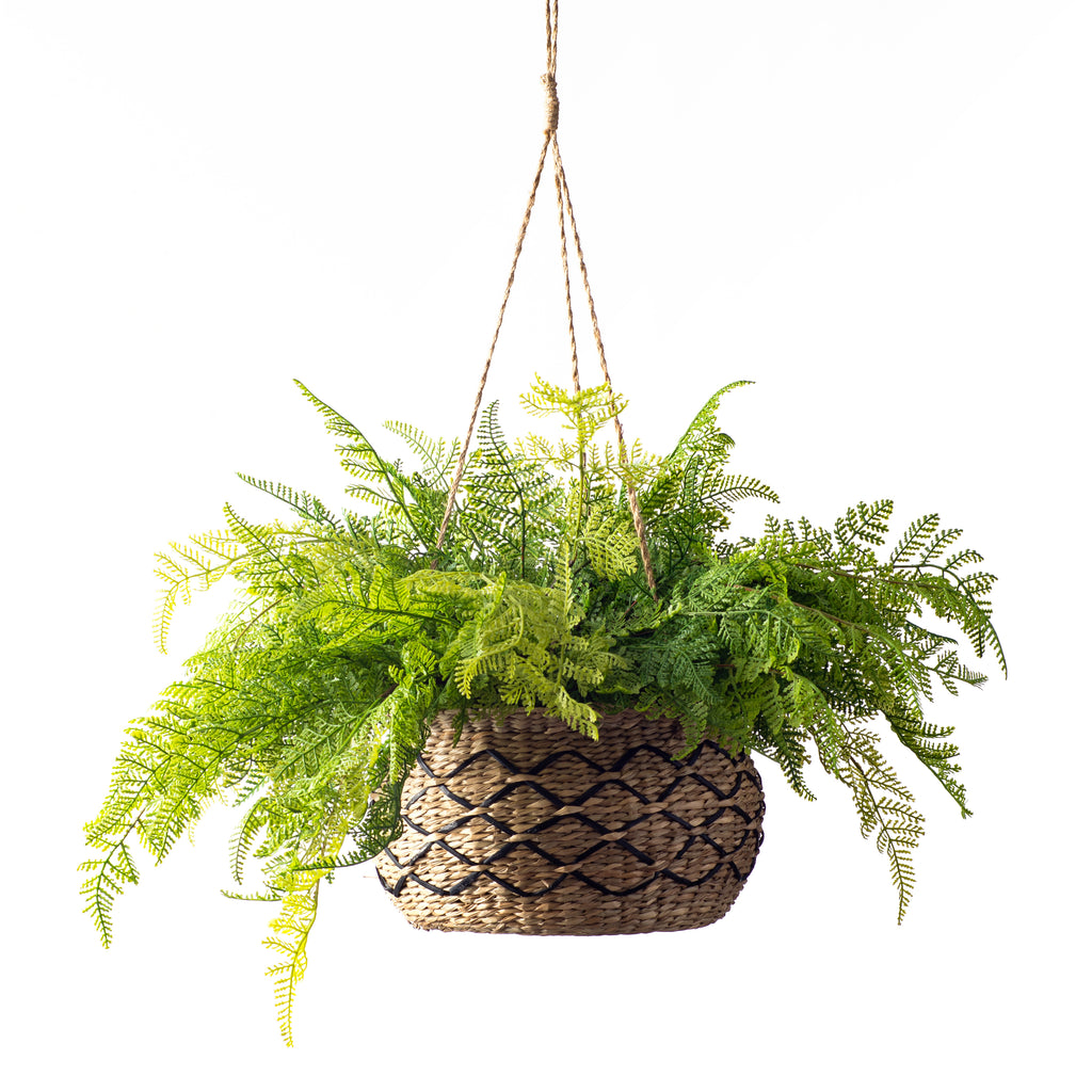 DIY Moss Potted Plant Decorative Cover for Basket, …love Maegan